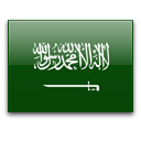 Saudi Riyal(SAR) Currency, What it is, History.